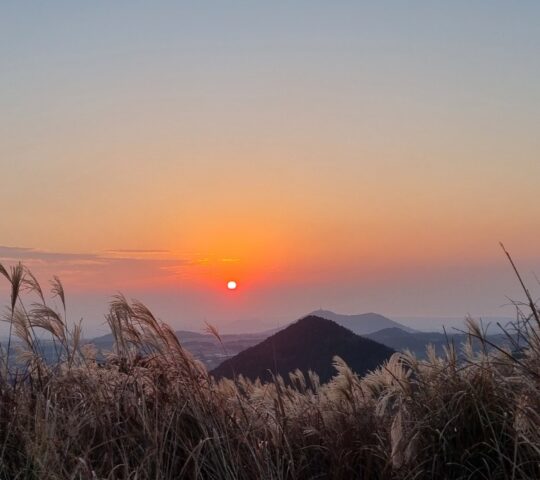 Saebyeol Oreum Saebyeol Oreum