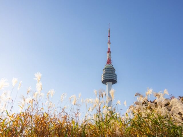 N Seoul Tower N Seoul Tower