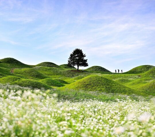 Bullo-dong Tumular Bullo-dong Tumular