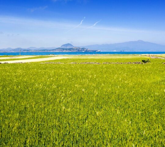 Gapado Island Gapado Island