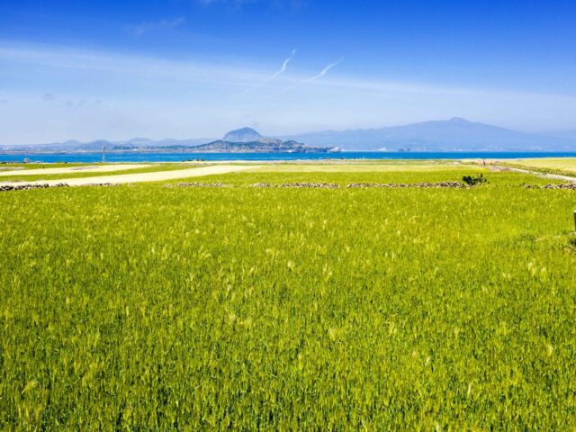 Gapado Island Gapado Island