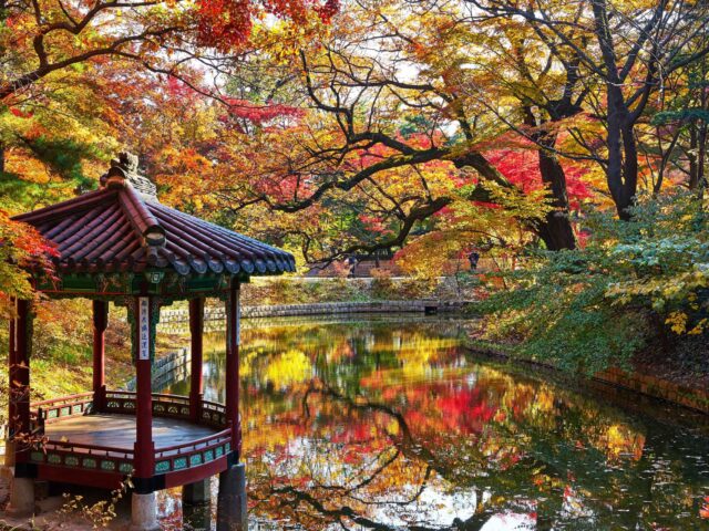 The Secret Garden The Secret Garden