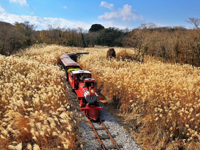 Ecoland Themepark Ecoland Themepark