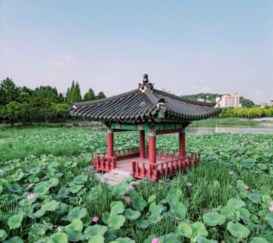 Deokjin Park Jeonju Deokjin Park Jeonju