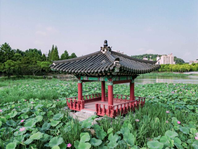 Deokjin Park Jeonju Deokjin Park Jeonju