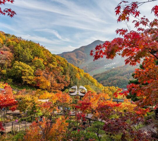 Hwadam Forest Hwadam Forest