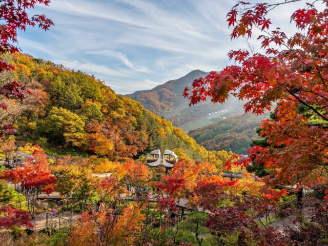 Hwadam Forest Hwadam Forest