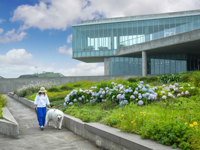 Phoenix Jeju Glass House Phoenix Jeju Glass House