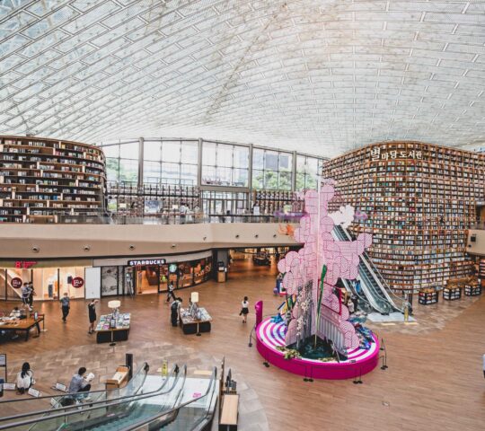 Starfield Library Starfield Library