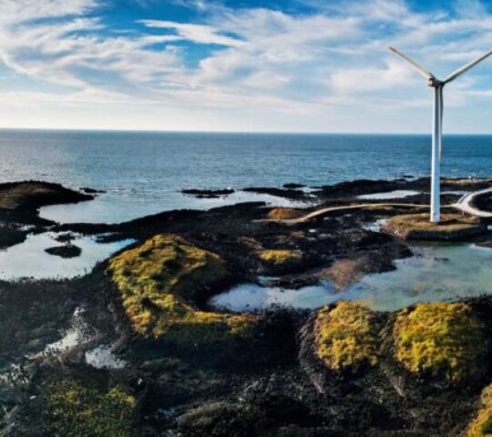 Sinchang Windmill Coastal Road Sinchang Windmill Coastal Road