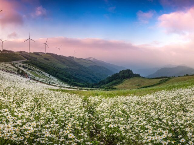 600 Majigi 600 Majigi