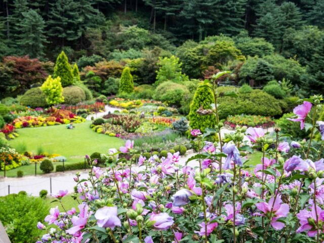 Garden of Morning Calm Garden of Morning Calm