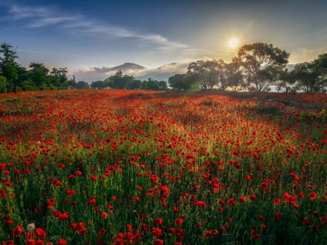 Garden of Water Garden of Water