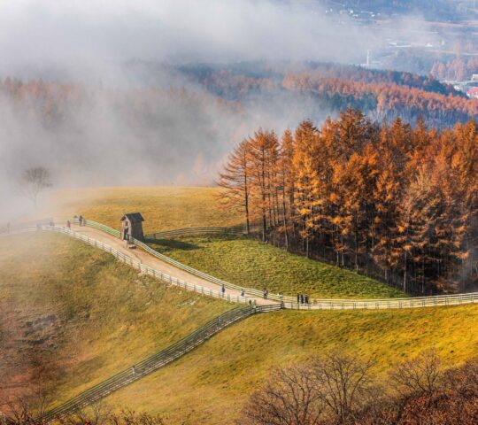 Yangtte Ranch Yangtte Ranch
