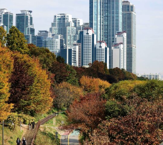 Yangjaecheon Cafe Street Yangjaecheon Cafe Street