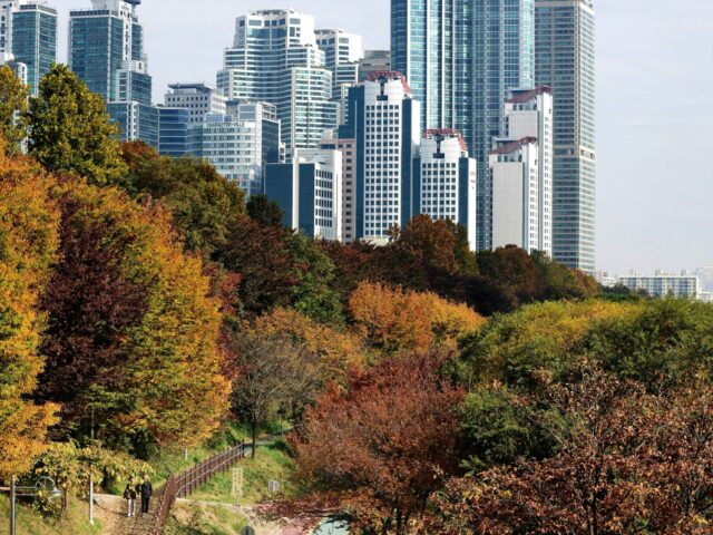 Yangjaecheon Cafe Street Yangjaecheon Cafe Street