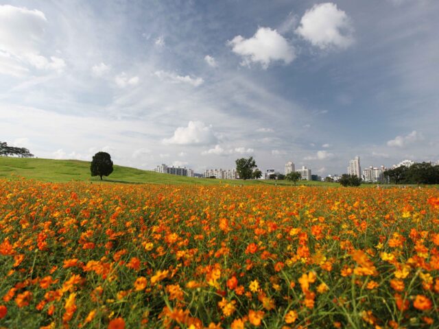 Olympic Park Olympic Park