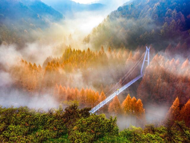 Jangtaesan Recreational Forest Jangtaesan Recreational Forest