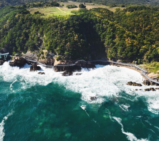 Jeongdongsimgok Badabuchae Trail Jeongdongsimgok Badabuchae Trail