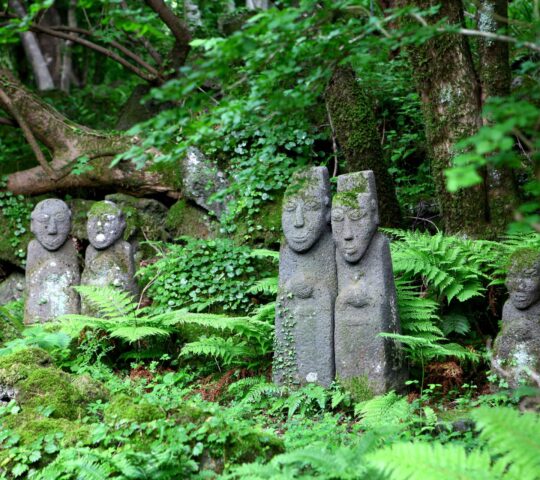 Jeju Stone Park Jeju Stone Park