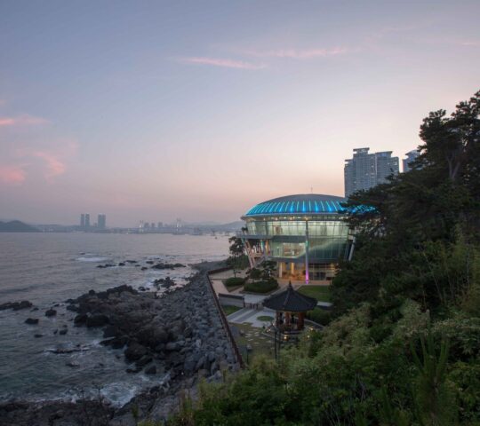 Dongbaek Park Dongbaek Park