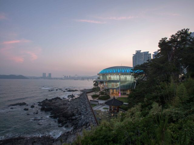 Dongbaek Park Dongbaek Park