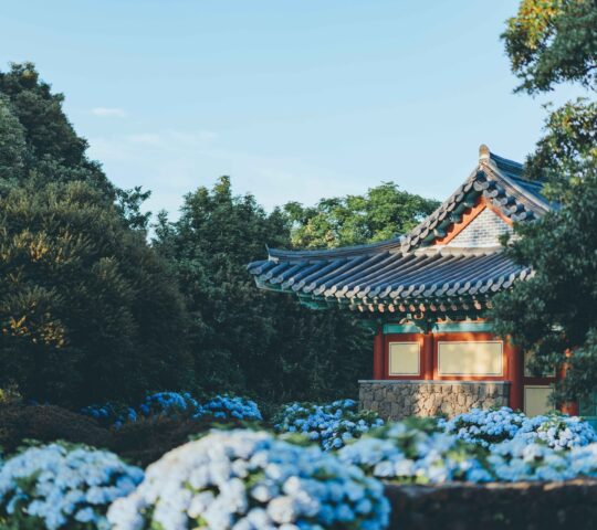 Honinji Pond Honinji Pond
