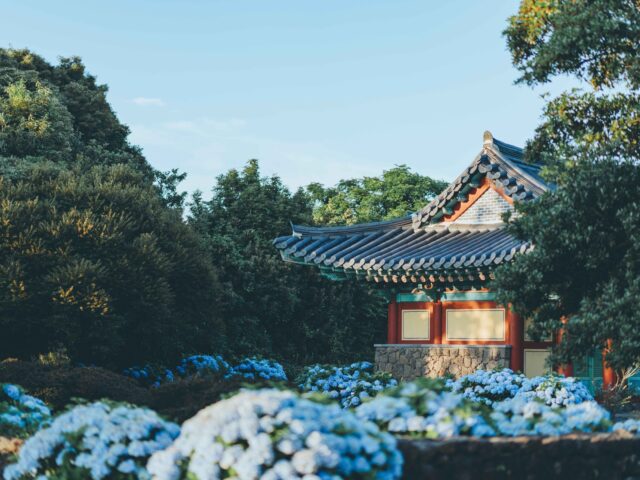 Honinji Pond Honinji Pond