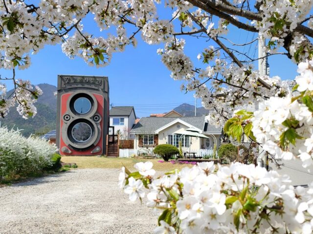 Dreamy Camera Dreamy Camera