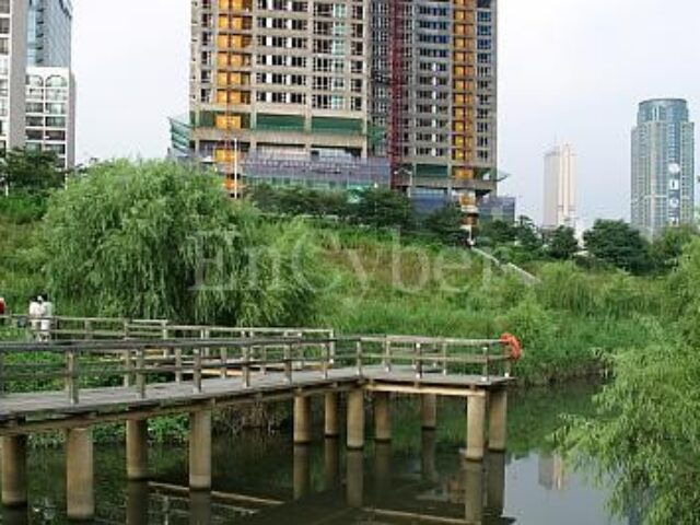 Yeouido Saetgang Ecological Park Yeouido Saetgang Ecological Park