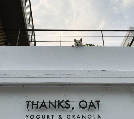Thanks, Oat