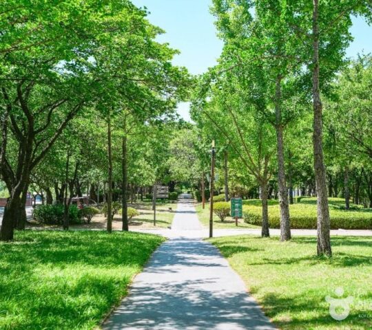 Seonyudo Park Seonyudo Park