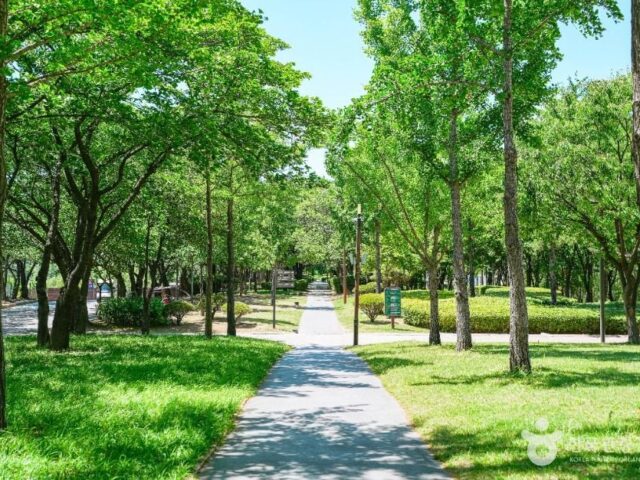 Seonyudo Park Seonyudo Park