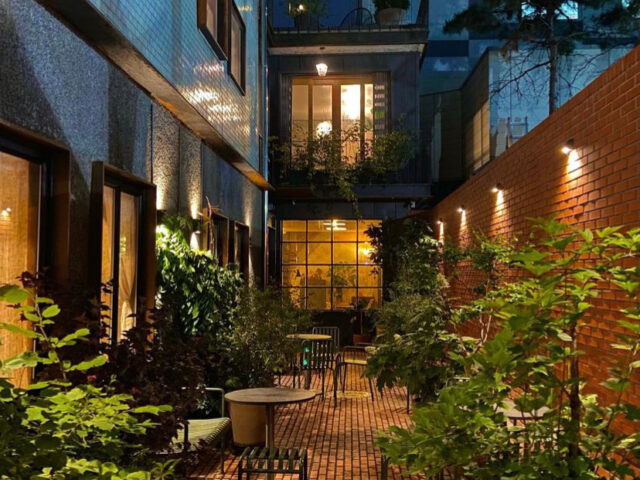 Susana’s Apron Susana’s Apron