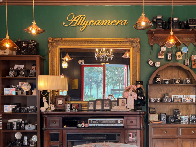 Ally Camera Ally Camera