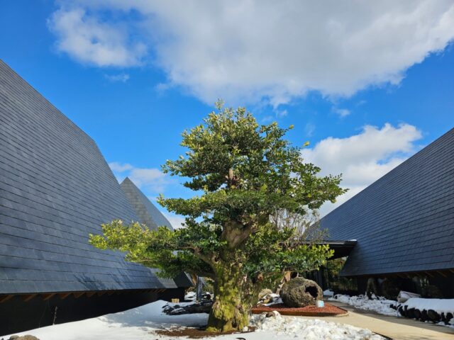 Yuji Coffee Works Yuji Coffee Works