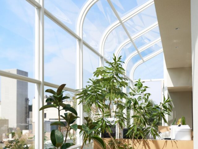 Chahong Ardor Flagship Chahong Ardor Flagship