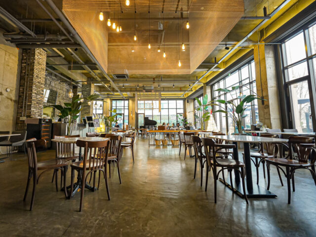 Café Cattle & Bee Café Cattle & Bee