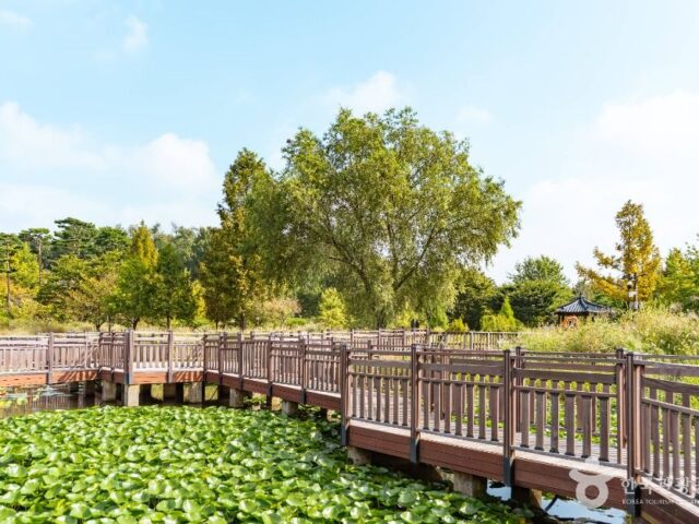 Pureun Arboretum Pureun Arboretum