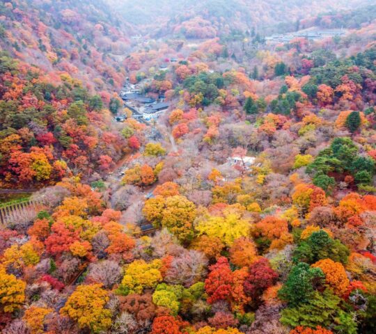 Gayasan National Park Gayasan National Park