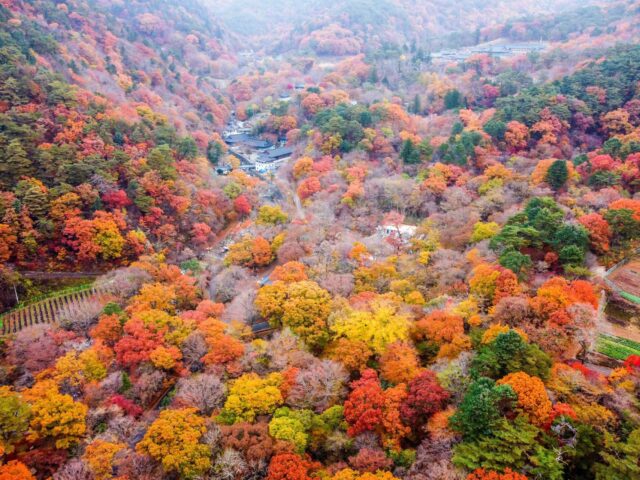 Gayasan National Park Gayasan National Park