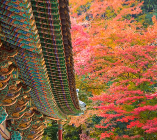 Naejangsan National Park Naejangsan National Park