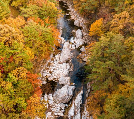 Odaesan National Park Odaesan National Park