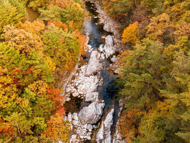 Odaesan National Park Odaesan National Park