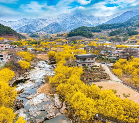 Jirisan National Park