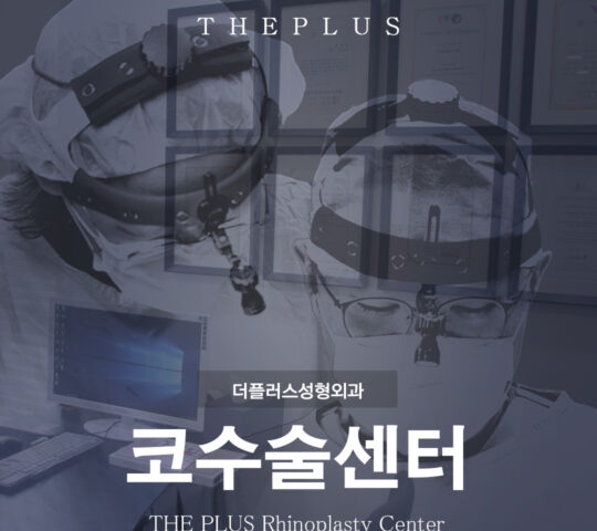 The Plus Plastic Surgery