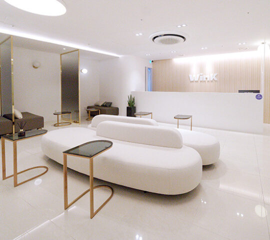 Wink Plastic Surgery