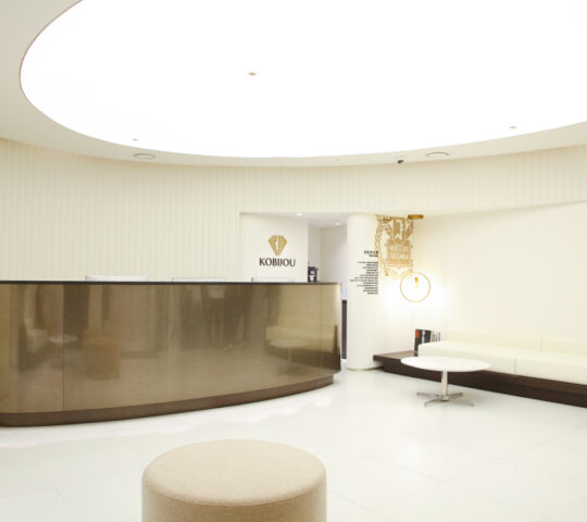 Kobijou Plastic Surgery